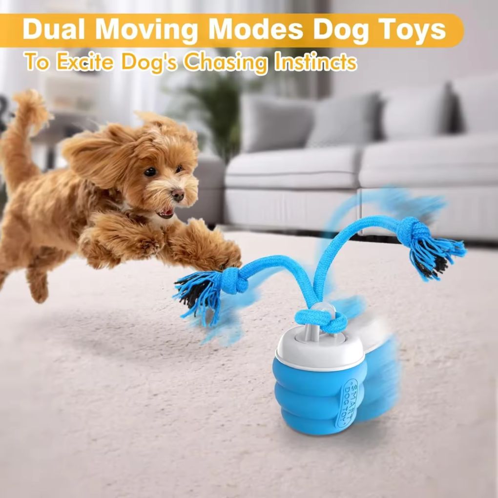 Interactive Dog Toy Ball