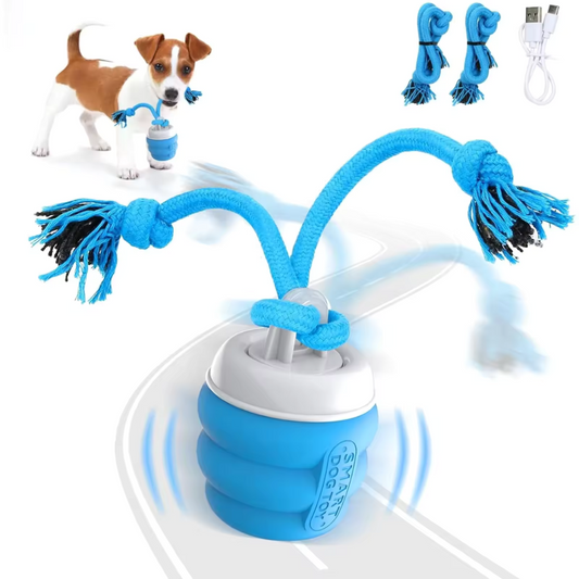 Interactive Dog Toy Ball