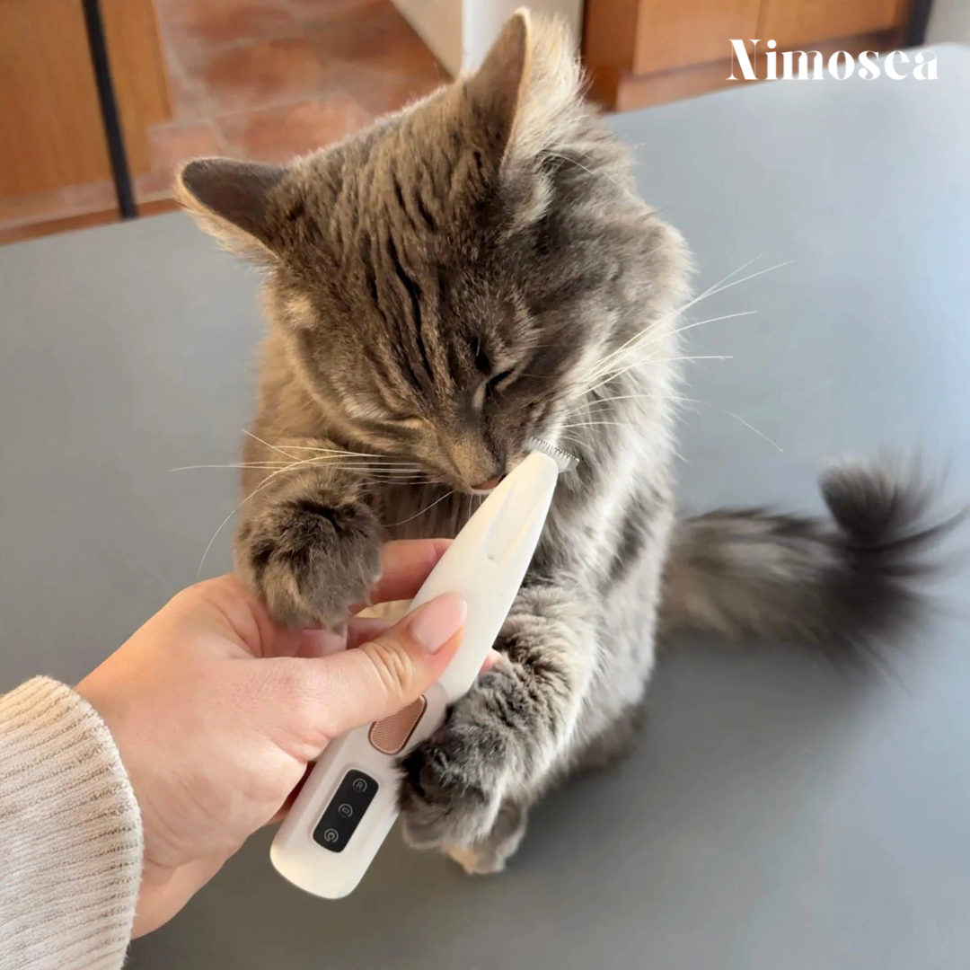 Pet Trimmer