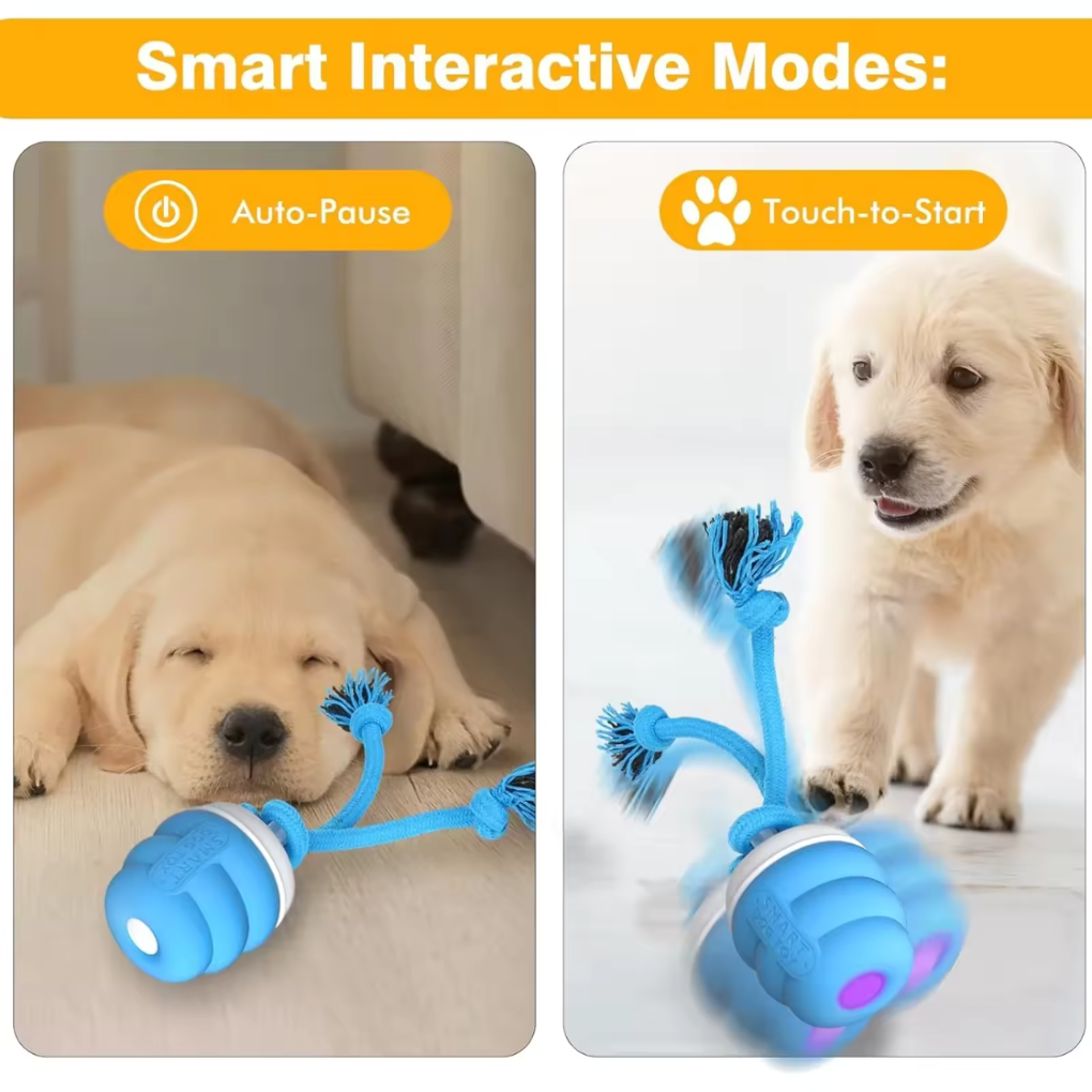 Interactive Dog Toy Ball